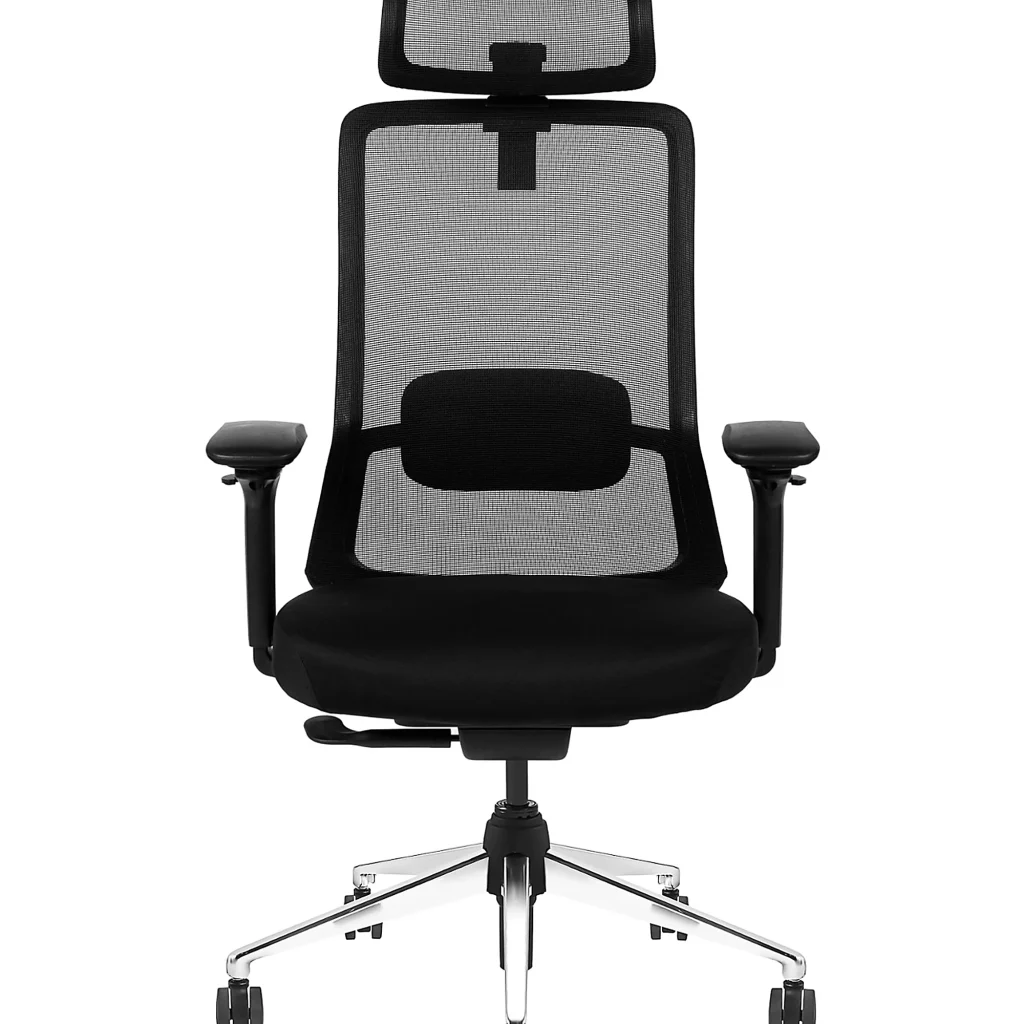 Avis Grigio Korean Mesh Ergonomic Chair