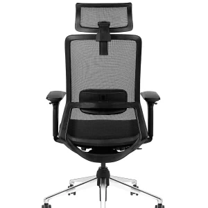 Avis Grigio Korean Mesh Ergonomic Chair - View 3