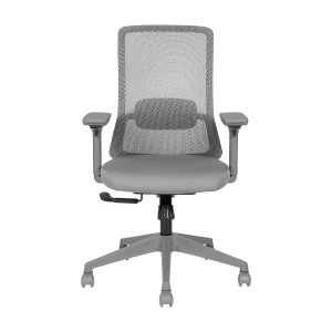 Avis Grigio Korean Mesh Ergonomic Chair - View 8