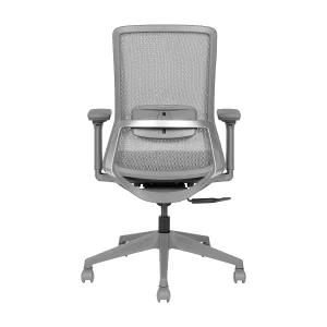 Avis Grigio Korean Mesh Ergonomic Chair - View 10