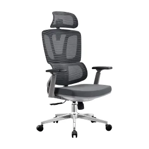 Benz BIFMA Certified Mesh Chair