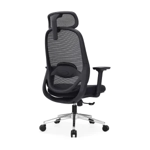 Zyra HD PU Mold Ergonomic Chair - View 5