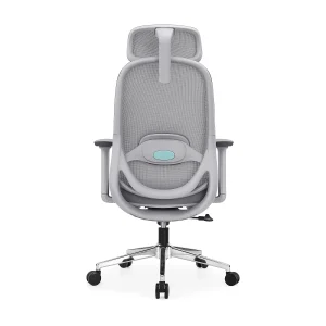 Zyra HD PU Mold Ergonomic Chair - View 6