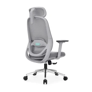Zyra HD PU Mold Ergonomic Chair - View 8