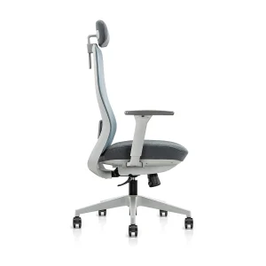 Ocean Ergonomic Netted Task Chair Alternate View